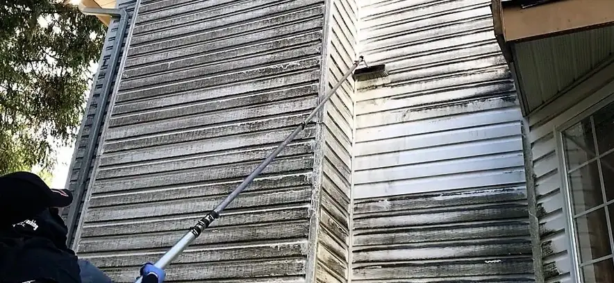A worker uses a long-reach extension pole with a soft-bristle brush attachment to scrub the horizontal vinyl siding of a two-story house. The image shows a dramatic contrast: the left side of the wall is heavily discolored with dark green algae and environmental soot, while the right side is being cleaned to reveal the bright white original color of the siding. The worker is seen from the shoulder up, wearing a black hat and protective gear, expertly maneuvering the pole against the side of the home.