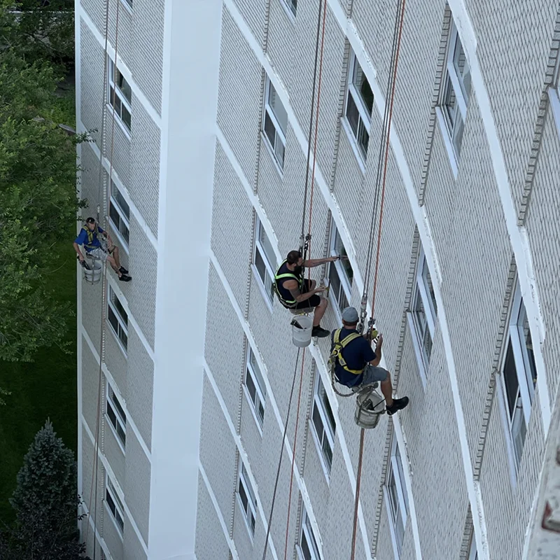 A high-angle, top-down shot of three professional window cleaners rappelling down the exterior brick facade of a multi-story high-rise building. Suspended by heavy-duty safety ropes and harnesses, the workers are spaced across different window columns with their cleaning buckets hanging beside them. The image emphasizes high-altitude safety and industrial quality assurance. In the background, green trees and landscaping are visible far below on the ground, underscoring the extreme height of the operation under bright daylight.