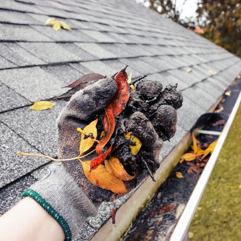 A close-up, first-person perspective shot showcasing professional gutter cleaning in Hamilton. A worker wearing a thick, grime-stained safety glove holds up a large handful of wet debris pulled directly from a residential roof gutter. The muck consists of decomposing black sludge mixed with bright yellow and red autumn leaves. In the background, a residential roof with grey asphalt shingles slopes downward, and the adjacent gutter line stretches out, filled with stagnant water and more fallen organic matter waiting to be cleared.